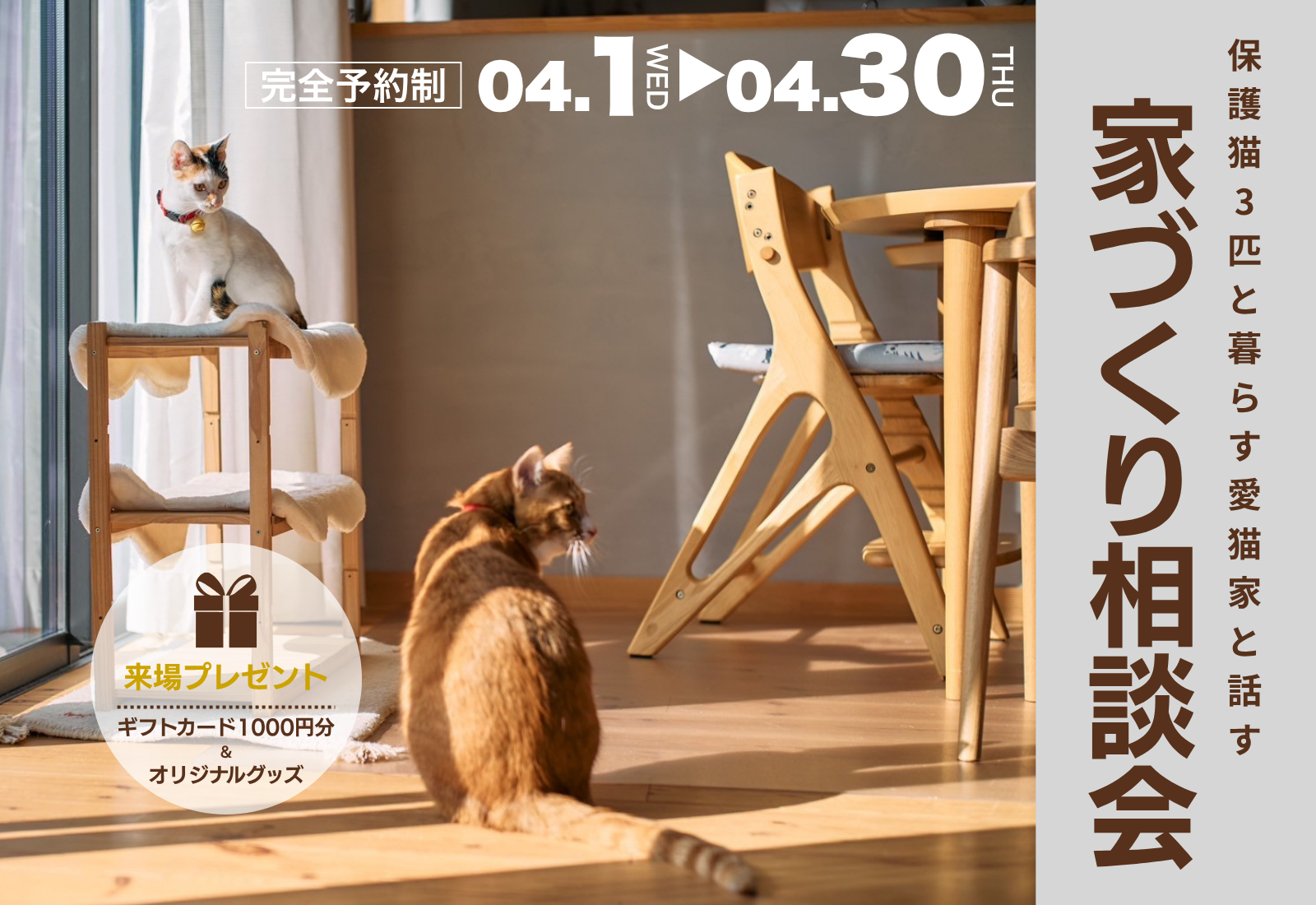 愛猫家スタッフと話す 家づくり相談会｜BinO磐田...