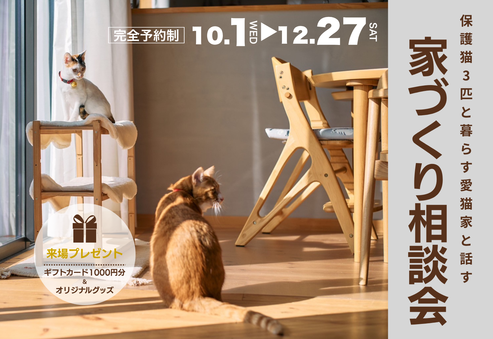 愛猫家スタッフと話す 家づくり相談会|BinO磐田...